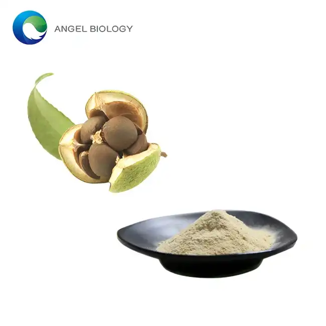 Can Camellia Seed Extract Powder Improve Hair Health? Science-Backed Benefits and Applications